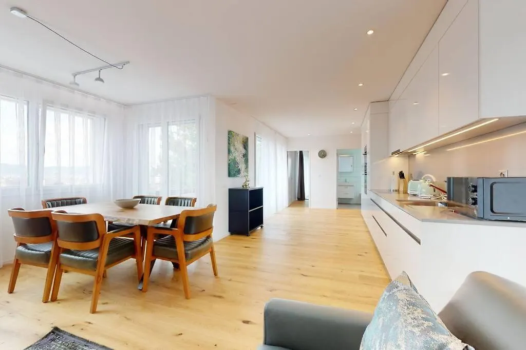 Stylish Penthouse In The City - Sun 17 Apartment Zurich